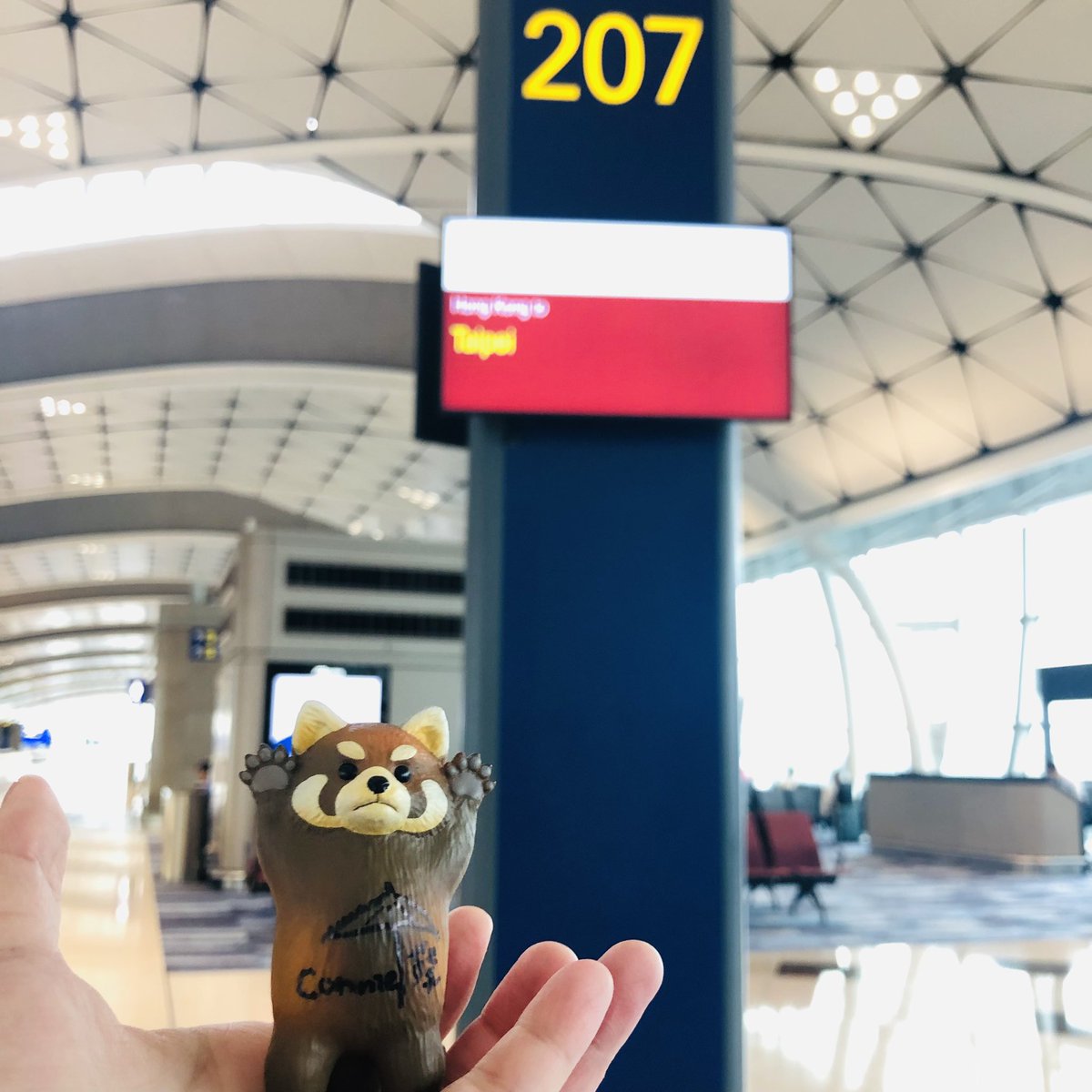 IneedArealHug's tweet photo. 在還沒上飛機突然覺得，我下機後應該可以衝心物語吃個晚餐！
所以立即拜託最懂我的Mi-Love先生幫我打電話訂位💜
帶了一堆香港特產都是給阿葵，想著如果她在就好了（這樣就能提輕一點回家xd）
一下機就衝市區衝到心物語，看到小葵我就忍不住快樂的笑了，但她生病了沒力氣😭
現在只希望小葵感冒快點好😭 https://t.co/fCSJu9tmRH