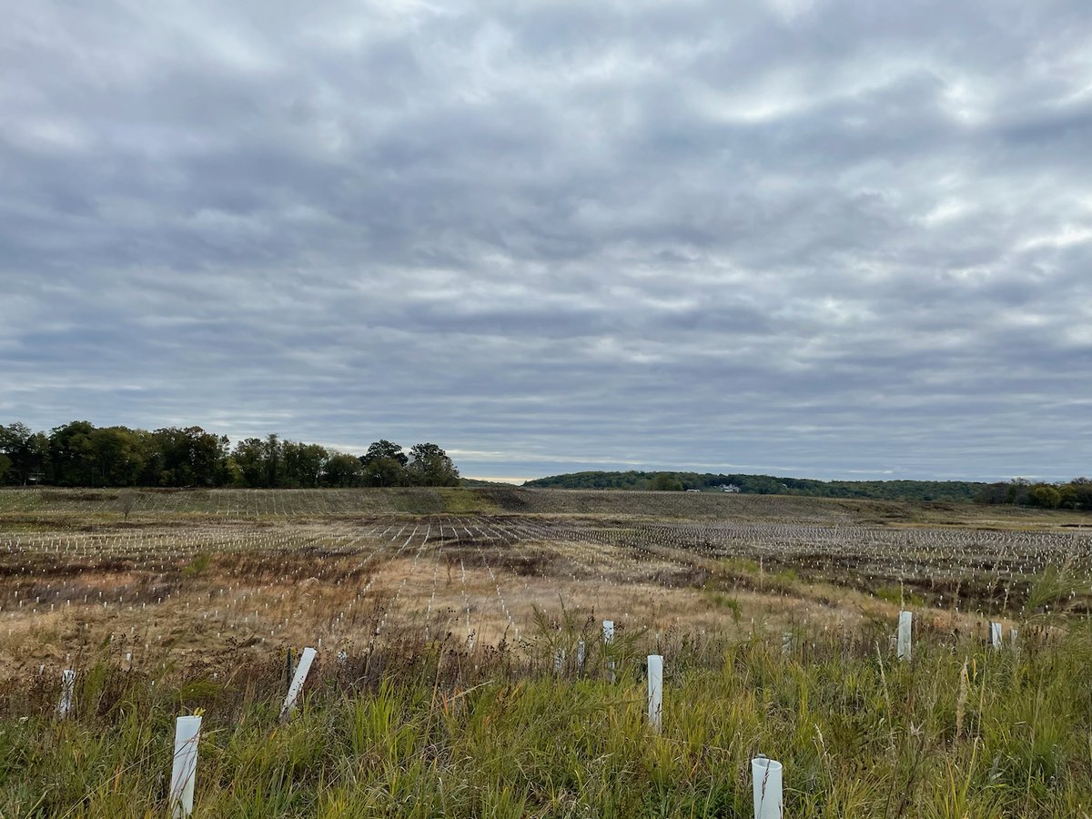 AnnButlerERM's tweet photo. Day 89 of work at my Grown Up Job at an environmental consulting company in Virginia and I've gotta say, salaries are nice, but these views are nicer https://t.co/1IZvtnA9w7