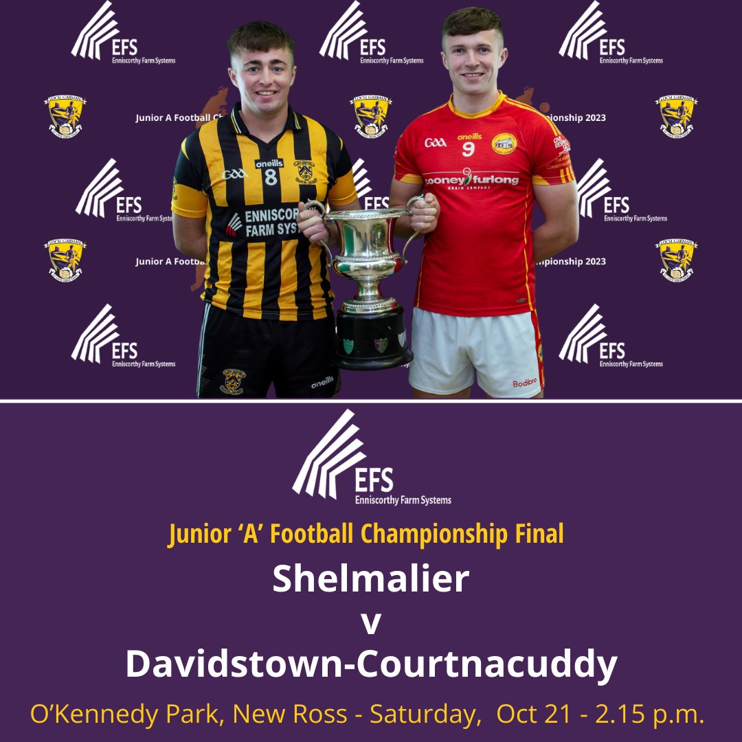 Wexford GAA tweet media
