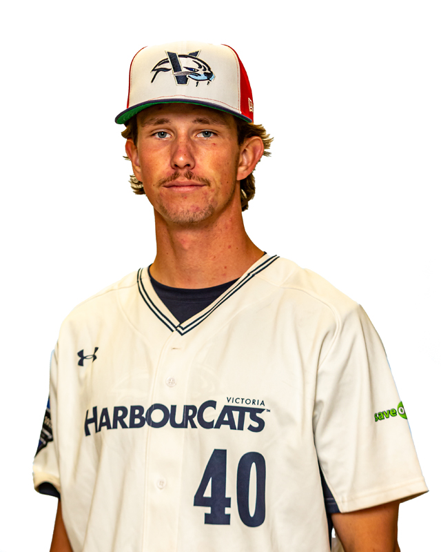 Victoria HarbourCats tweet media