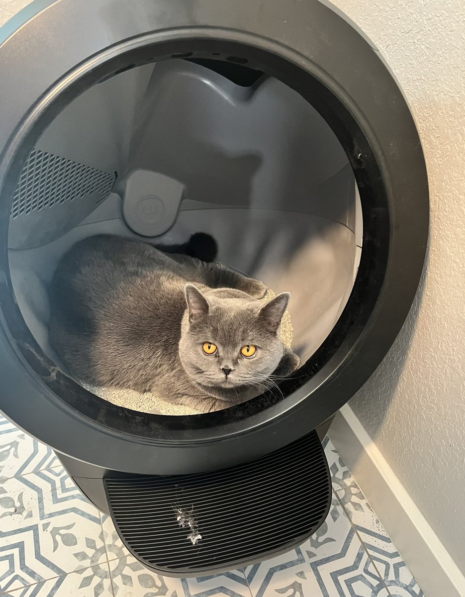 I think Clancy likes it. @Litter_Robot