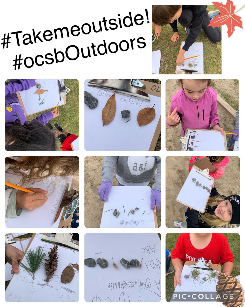 Making different patterns using nature in our schoolyard! 🍂🪨🍁🌾#TakeMeOutsideDay #ocsboutdoors
#ocsbMath
<a href="/OLWisdomOCSB/">Our Lady of Wisdom School</a> <a href="/ocsbEco/">ocsbECO</a>