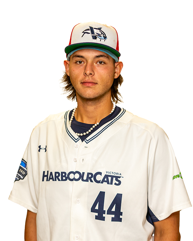Victoria HarbourCats tweet media