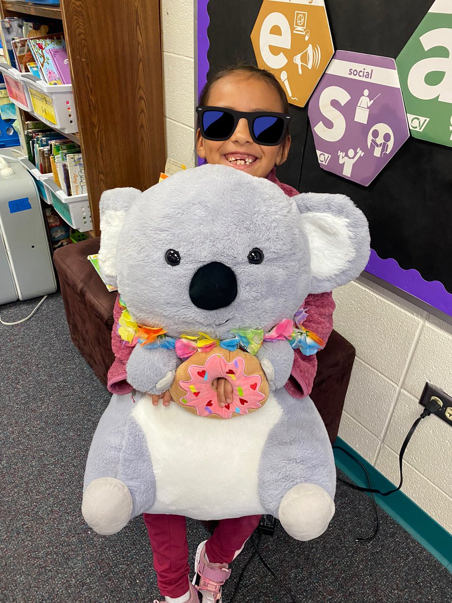 One of our 2M koalas purchased Koala Lou stuffy to be our class visitor for the day!🐨 @CowlishawKoalas