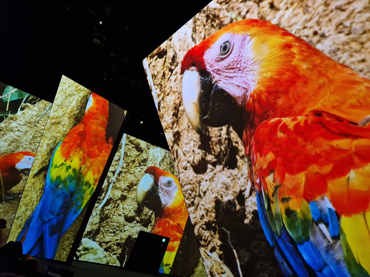 NoadsHistoryKRA's tweet photo. Brilliant day with Yr8 Geographers @bbc_earth_exp and then onto @NHM_London for the Tectonic zone. https://t.co/7CSnAKJedm