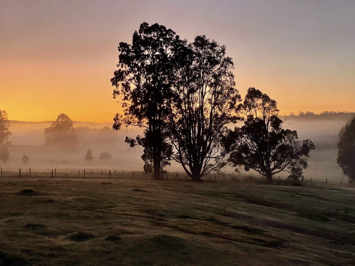 Greg O'Beirne @gobeirne.bsky.social tweet media