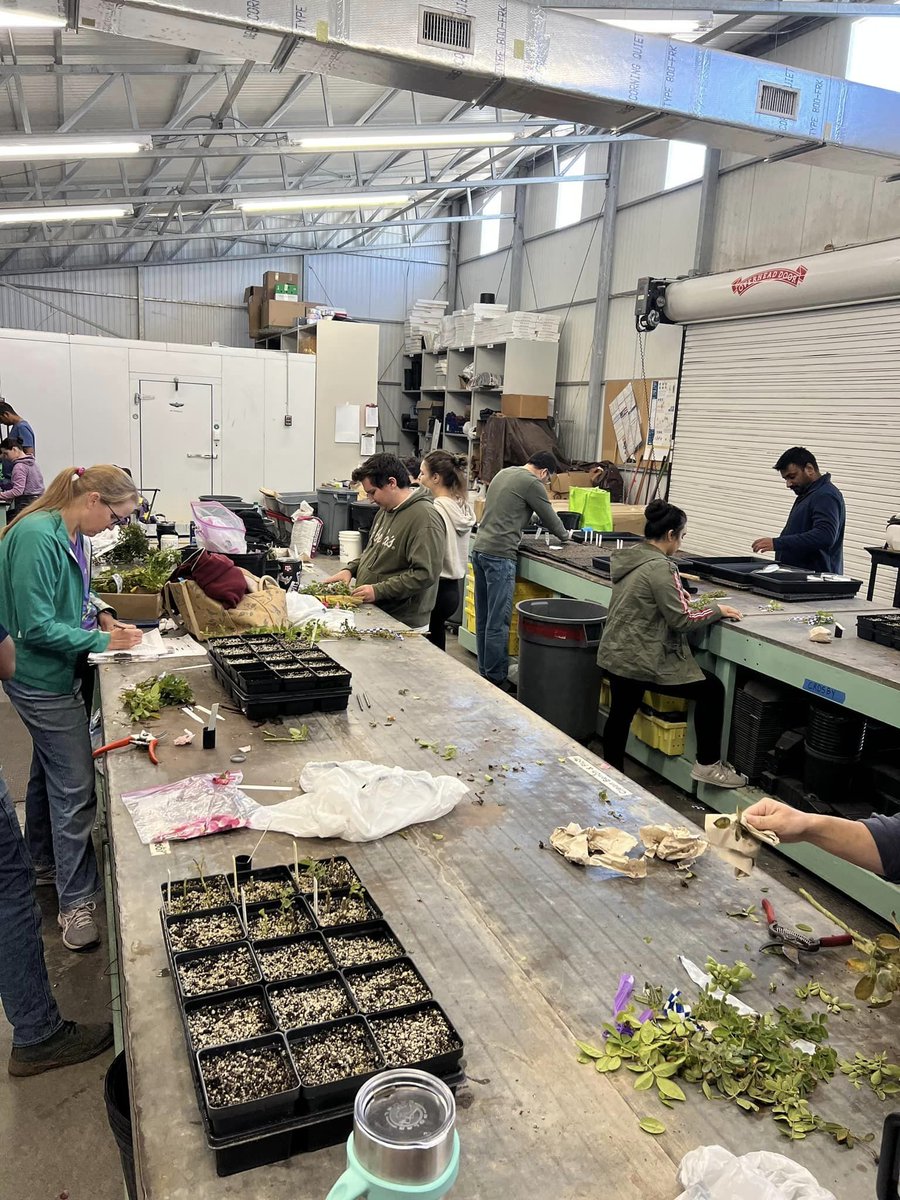 It’s propagation season again! Thank you to all our staff and students who have come out and worked with us. It’s a big job, so we appreciate all the help!