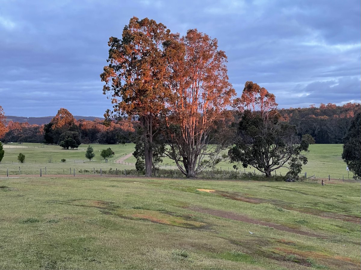 Greg O'Beirne @gobeirne.bsky.social tweet media