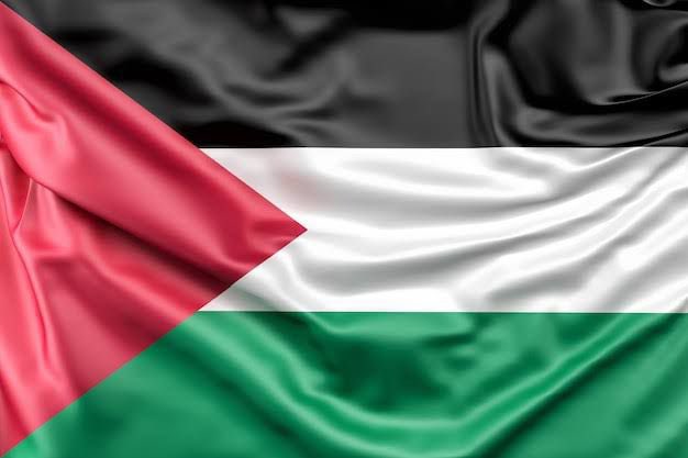 Azam_A3's tweet photo. #Palestine 🇵🇸 https://t.co/BvnGWvybCL