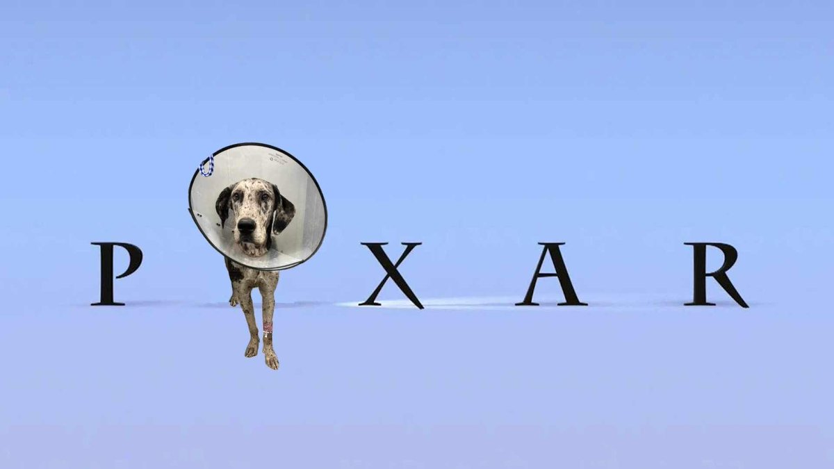 Furever Homes Dog Rescue of SETX (@fhdrofsetx) on Twitter photo 