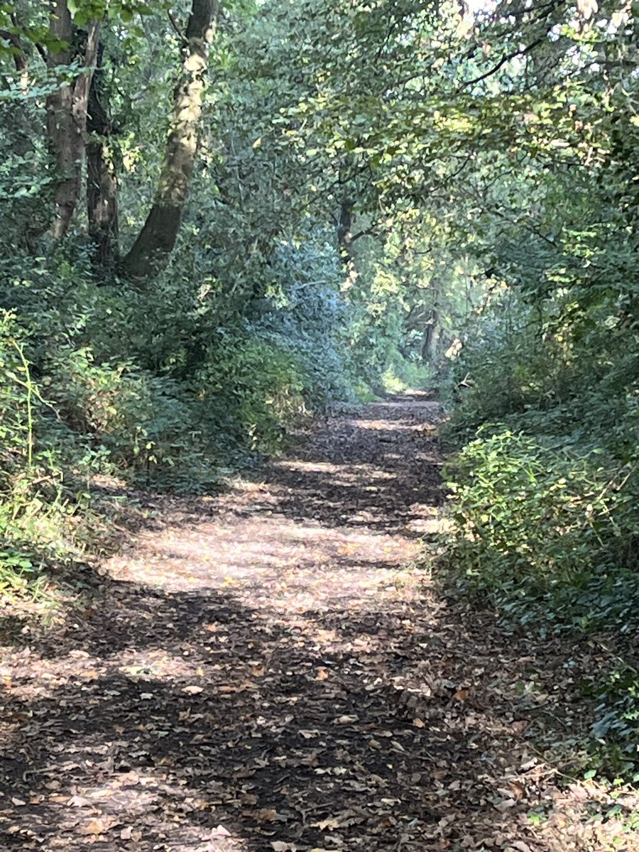 kickassqueen's tweet photo. Lovely, sunny ☀️#autumnwalk along the #dramway yesterday with my friend Genette & her cute dog Audrey. So nice to get out in #nature x0x https://t.co/CKTurCYjRL
