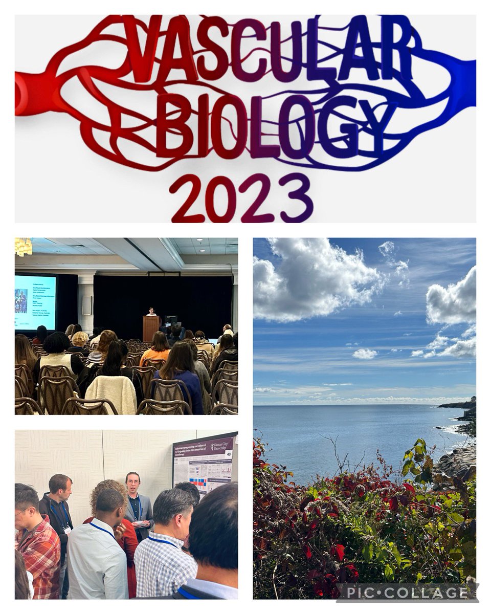 Delighted and honored to be invited to present our latest research @vascularbiology #NAVBO2023.
Fantastic program this week with lots of great talks, posters, and a chance to meet collaborators and friends again.