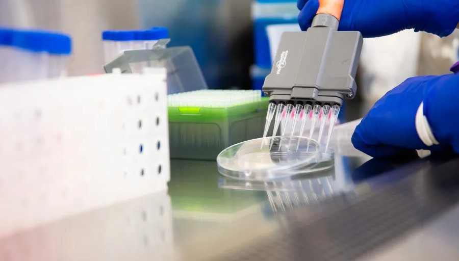 ResearchUTK's tweet photo. Four faculty researchers have been awarded prestigious National Science Foundation CAREER awards for the 2022-23 submission period. UT recipients include faculty from @ArtsSciencesUT, @UTK_TCE, and @UTKCEHHS.
Read more: https://t.co/HGBD9f5ATD
#NSFAward #UTResearch #Faculty https://t.co/w0baZCAVAw