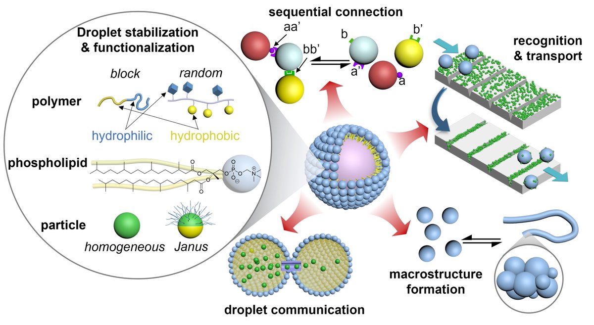 Polymer Science & Engineering Dept @ UMass Amherst tweet media