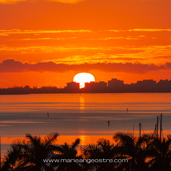 🇫🇷 C'était une belle fin journée en Floride. Un hôtel bien situé, une chambre en étage, la bonne heure, un filtre polarisant et… un beau coucher de soleil sur Miami Beach.
📍 Miami Beach, USA 🇺🇸 <a href="/visitmiami/">Greater Miami and Miami Beach</a> #usa @visitusafrance #miamibeach #sunset #travelwriter #igers