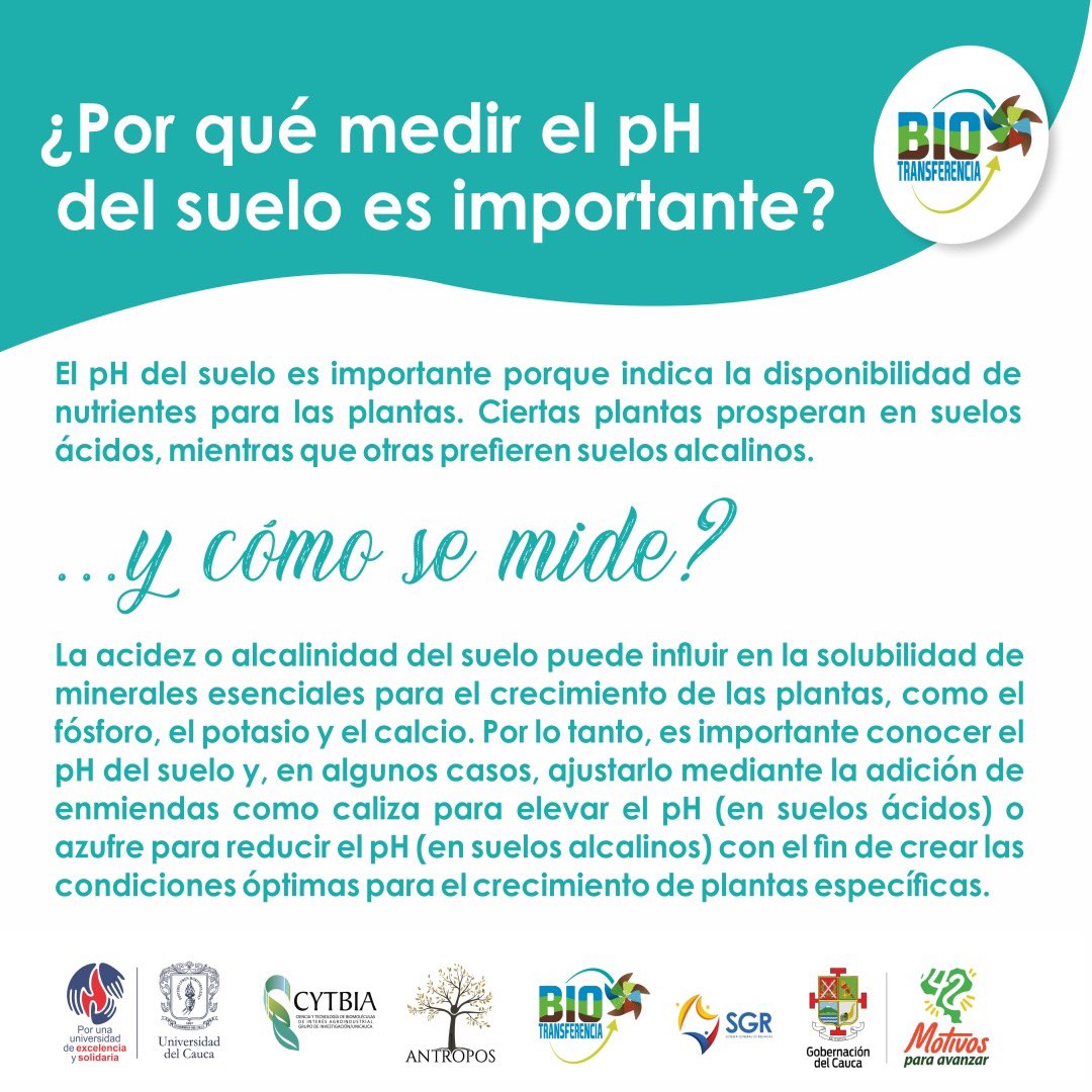bio_transf's tweet photo. La diferencia entre una cosecha promedio y increíble comienza con el suelo!🐾🪹

Conocer y ajustar el pH en tu terreno adecuadamente es la clave para un cultivo fructífero. 🌱📊

Es el  primer paso para la siembra. ¡Que no se te olvide! 😉

🌿🌱🌿🌾☘️ https://t.co/3ws1bdQ4qM