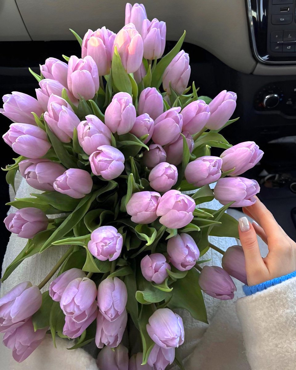 Exulansista's tweet photo. tulips or peonies? https://t.co/xcgEH5HemR