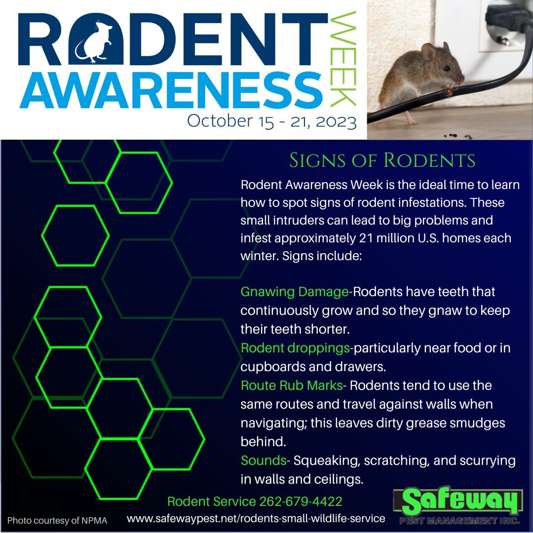 Rodent Awareness Week 2023