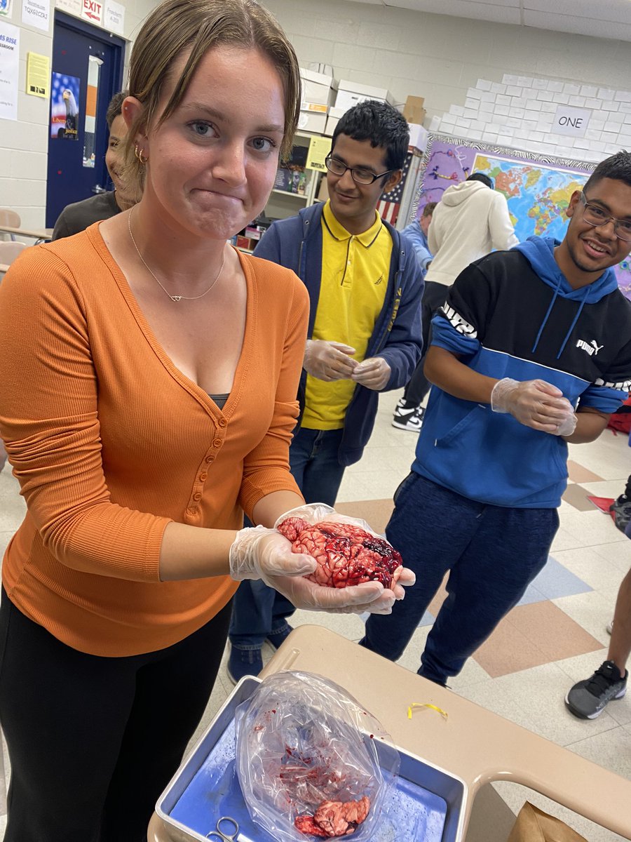 mrsfranchetti's tweet photo. Using a real COW BRAIN to help understand how the human brain works! #APpsychology @overbrookrams https://t.co/QRcIPwFQkt