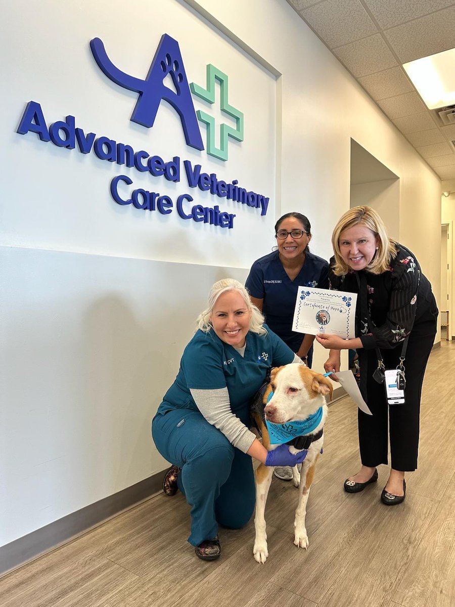 advanced_vet's tweet photo. Guess who just finished his chemotherapy today at The Cancer Center at Advanced Veterinary Care Center?  Macaroni did!  Let's show Macaroni and his mom some love 😍 #southfloridapets #petsofsouthflorida #SouthFloridaDogs #dogsofsouthflorida https://t.co/x8NkXfX5iV