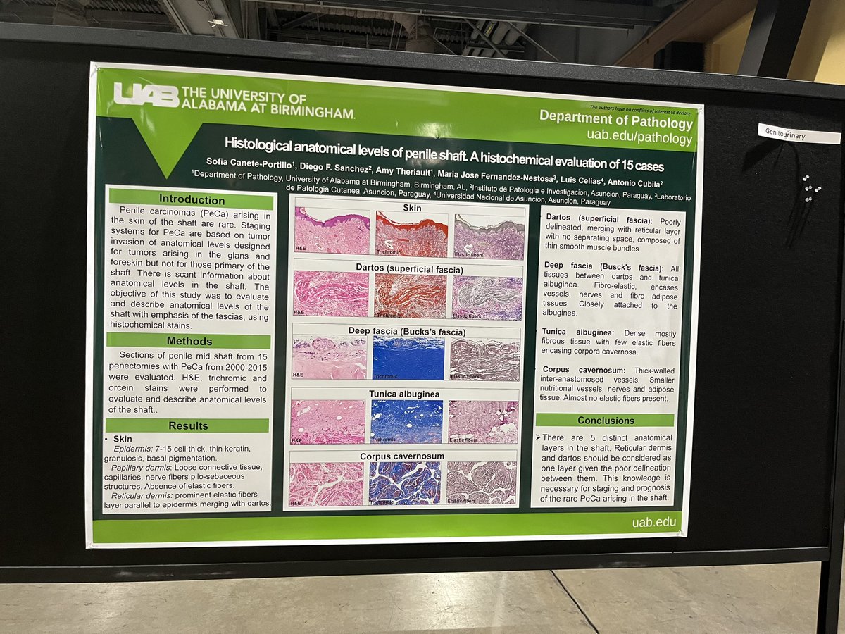 Representing @UABPathology @ASCP_Chicago #ASCP2023 during the first poster session of the conference! With Drs. @sofmab and Amy Theriault and their finalist award winning poster, alongside Communications Director @crowecm.