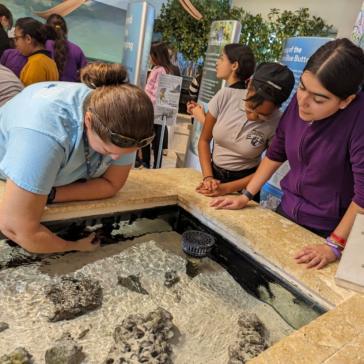 ShenandoahMS's tweet photo. Mrs. Rey's students took a study trip today to the Biscayne Nature Center in Crandon Park. Students visited the state-of-the-art center, which contains a laboratory, a coastal &amp; marine life exhibit, a theater gallery &amp; native plant garden. #SMSMuseumsMagnet #YourBestChoiceMDCPS https://t.co/jxHbFdGlV5