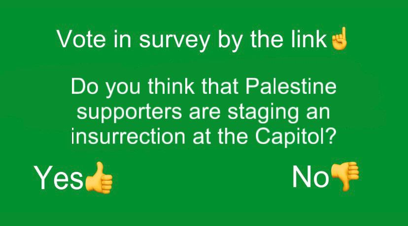 O_Statistics's tweet photo. Do you think that Palestine supporters are staging an insurrection at the Capitol?

#Capitol #Insurrection #Palestine #Israel #PalestineIsraelwar #Congress 

https://t.co/2iB4P00Wn4 https://t.co/J59lFD8UBq