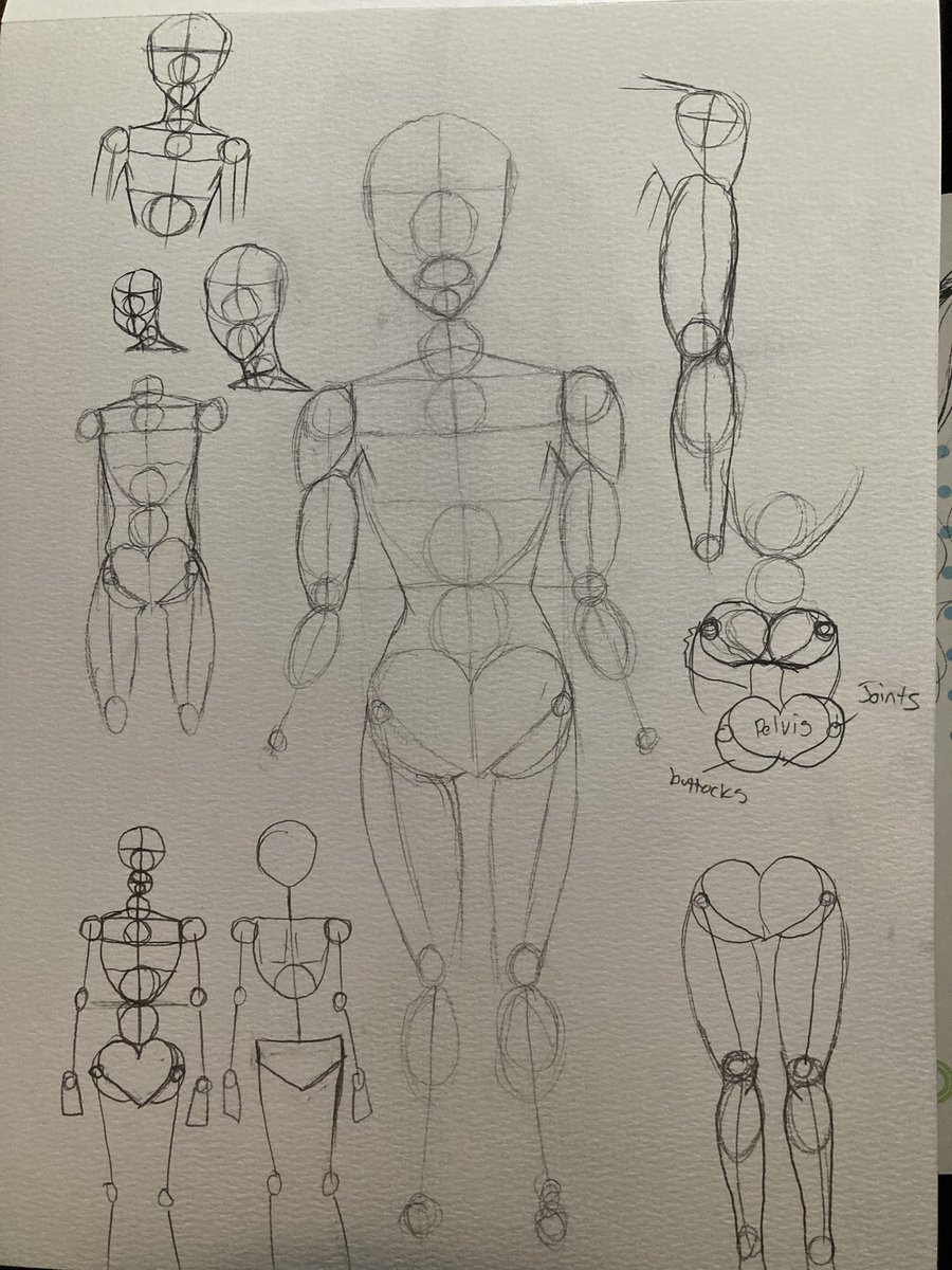h_catoolkit's tweet photo. Trying to perfect a method for figure drawing. https://t.co/tROAo35kDU