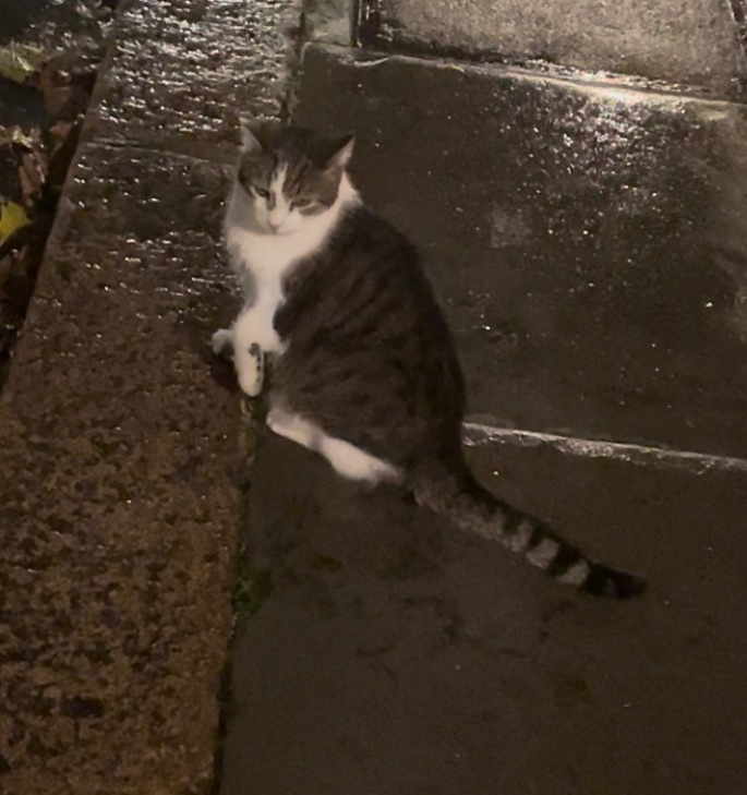 Larry The Cat.