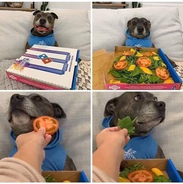 A short story of betrayal.