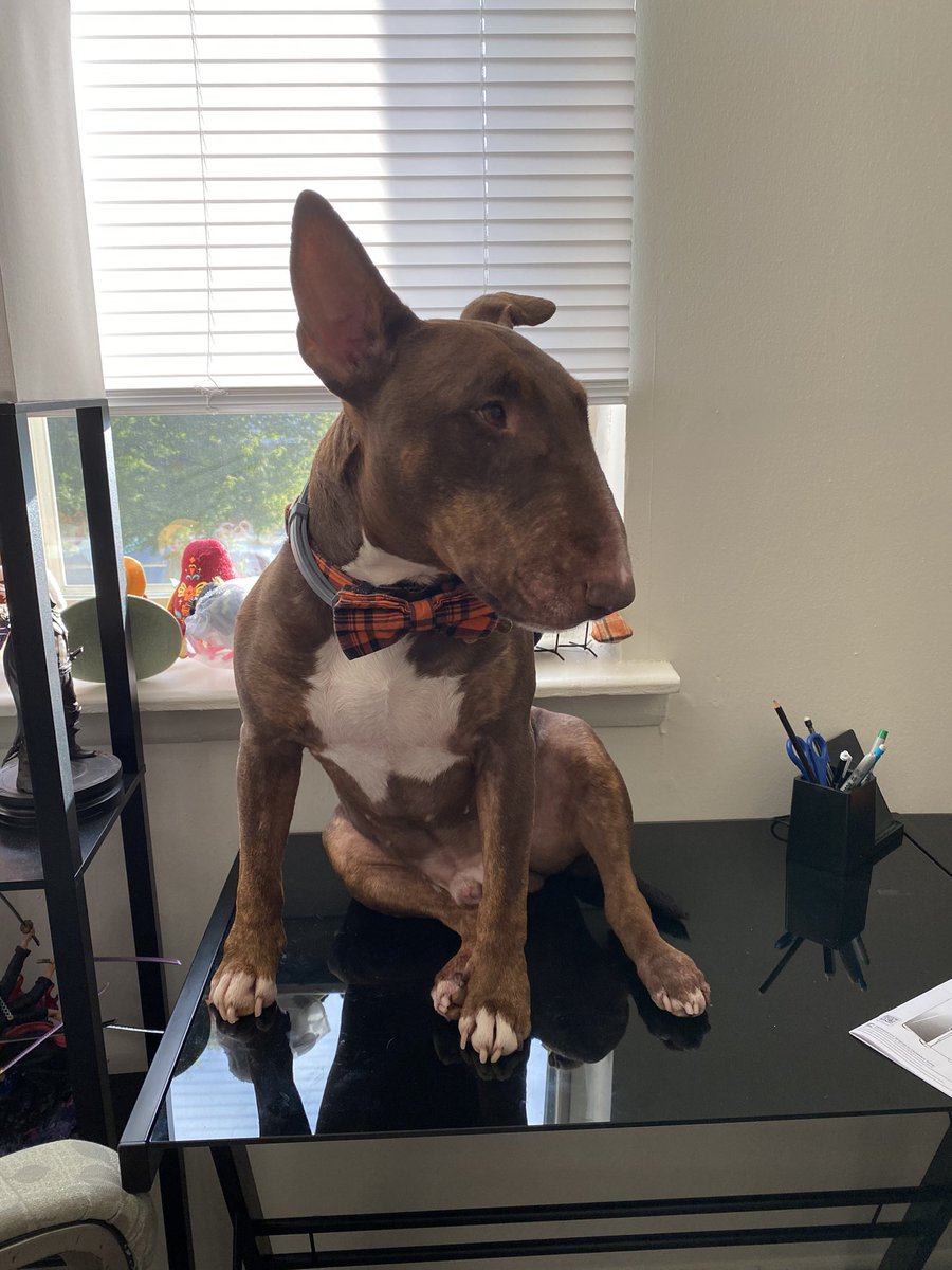 bres (she/her) tweet media