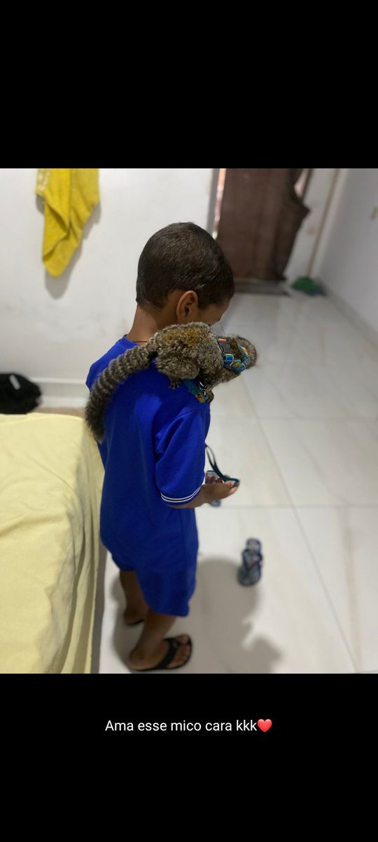 Meu malandrex 🐒