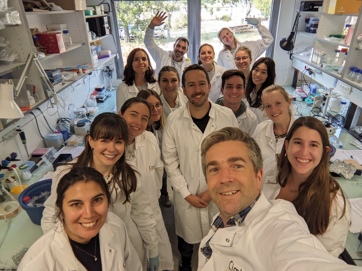 RafaJArguello's tweet photo. It's our pleasure 🙏🤗🤯😍 to host such an amazing gang of talented international PhD students and postdoc in the lab. 
12 🧑‍🔬 🇮🇪🇬🇧🇳🇱🇵🇹🇫🇷🇧🇪🇲🇽🇦🇷🇷🇺🌎

We  @CIML_Immunology very happy to host you!

#Learning &amp; fun together #ourlemma

 @SCENITHmetab @CytekBio @cosgrove47 https://t.co/yLNTDTb9df
