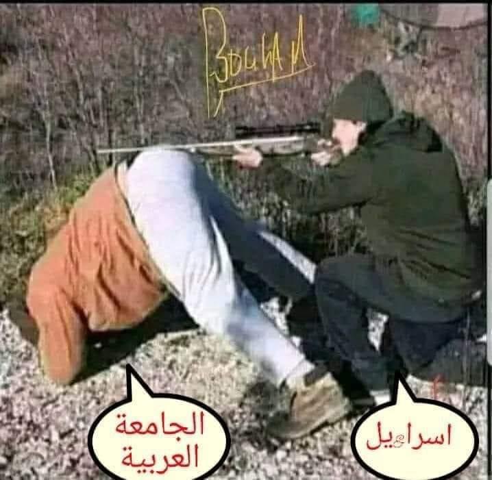 elmaati22's tweet photo. https://t.co/DRMoYYb4CC
