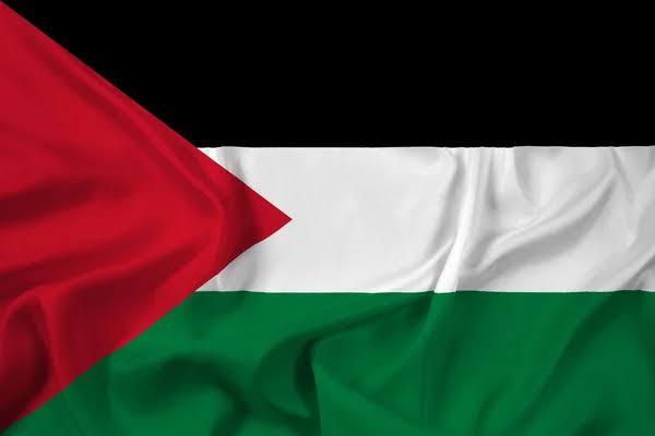 taskiNinsaNe's tweet photo. Bombing children and women in a hospital in the name of self defence is just sickening 
#freepalestine 🇵🇸🙏🏽   #PalestineGenocide #ISupportPalestine https://t.co/hN41fVL3rq