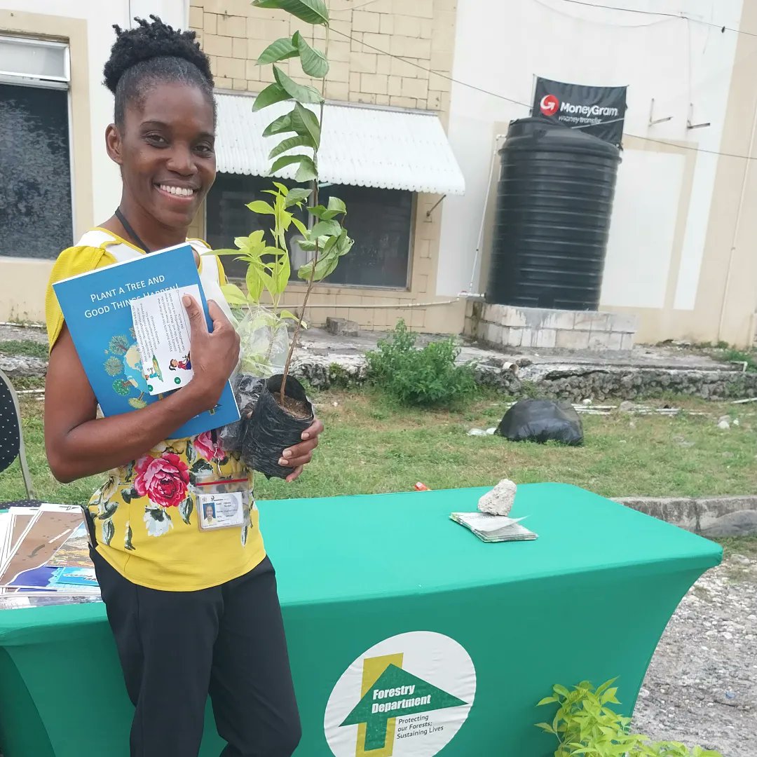ForestryDeptJa's tweet photo. Over 300 trees were distributed today in Portland.
This distribution was the first of three in the Forestry Department-Rubis partnership .
Up next: Rubis, Catherine Hall, Montego Bay on Wednesday, October 25, 2023.
@RubisJamaica
#forestrydeptja
#3milliontrees
#NTPI https://t.co/X54ihyvoae
