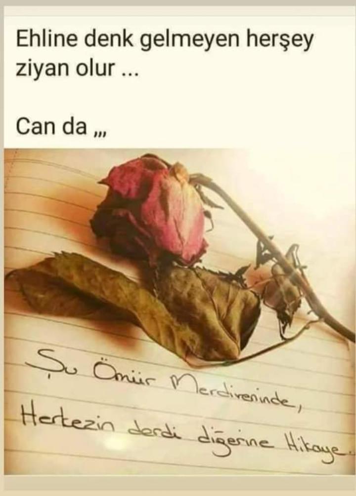 hackselim's tweet image. 