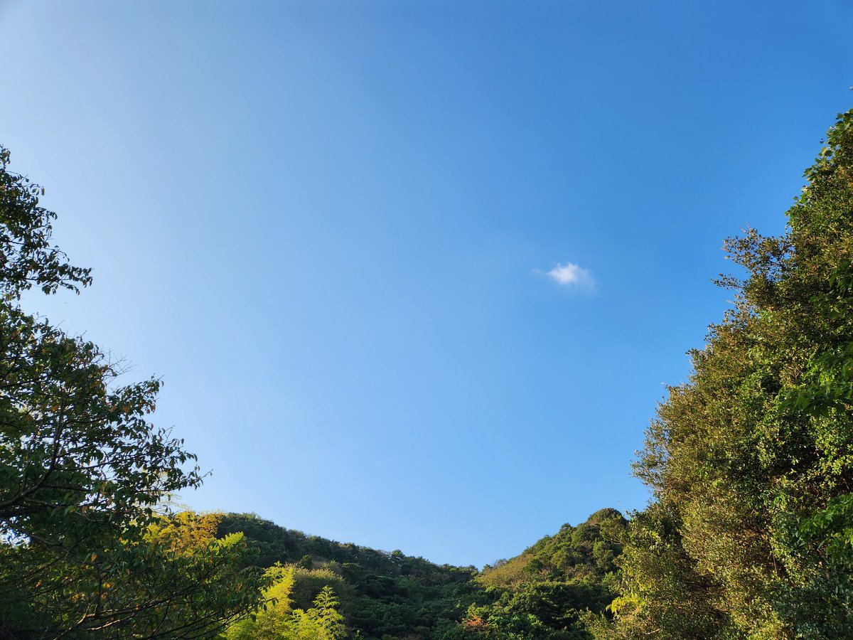 10/19 木曜日　先勝
おはようございます☀️😃❗
マザー・テレサの日‼️

過ちを改めるには、
自分が間違いを犯したと自覚すれば、それでよい。

はぁい‼️😊✨️
そうすると気が楽になります🎵
