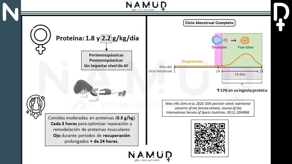 La ingesta proteica en mujeres deportistas debe situarse en el rango recomendado en Nutrición Deportiva (1,8-2,2 g/kg/día), aunque durante la fase lútea hay que aumentar dicha ingesta un 12% para contrarrestar los efectos negativos de la progesterona sobre el catabolismo proteico