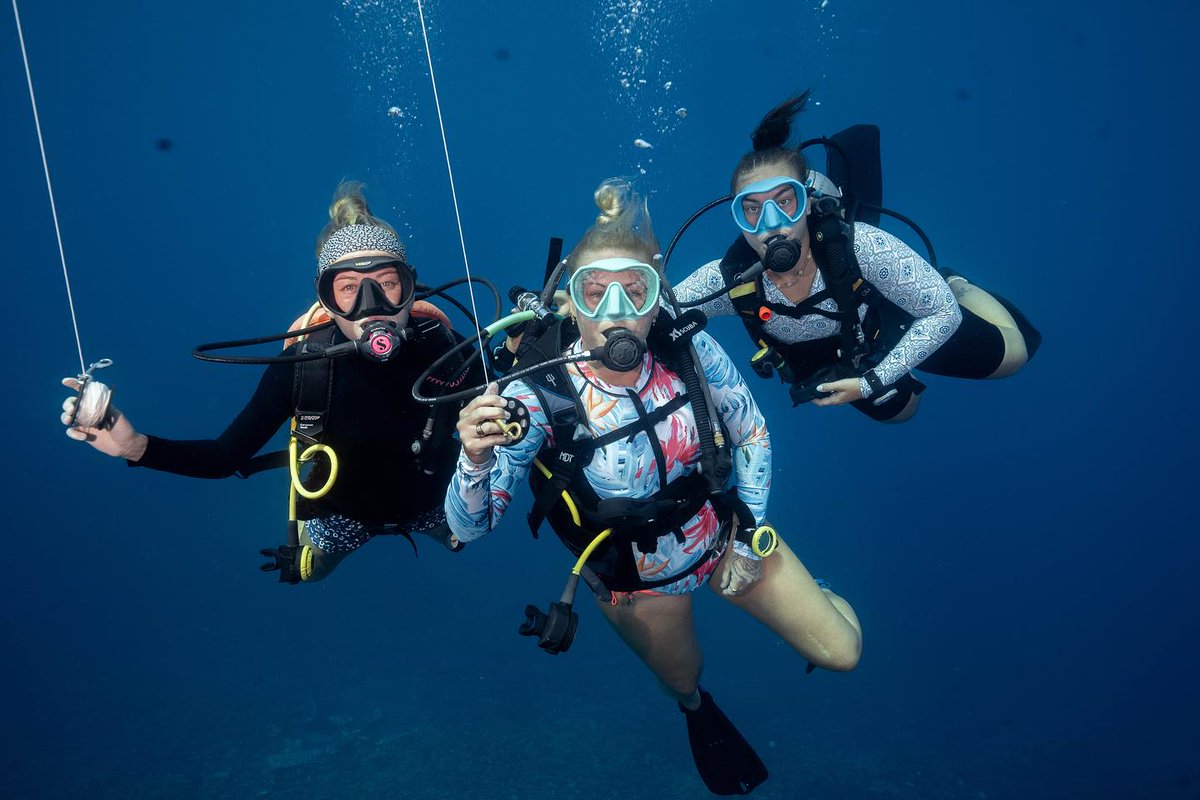 Pre Dive Vibes VS Dive Vibe 🤿

Tag your dive buddy 💙

#scuba #scubadive #scubadiver #ssi #divessi #wearessi #mantadivegilit #gilit #gilitrawangan #lombok #bali #ocean