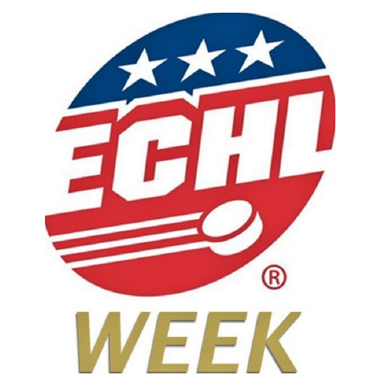 ECHL on Twitter: Blueland is BACK tonight in Atlanta 🤩