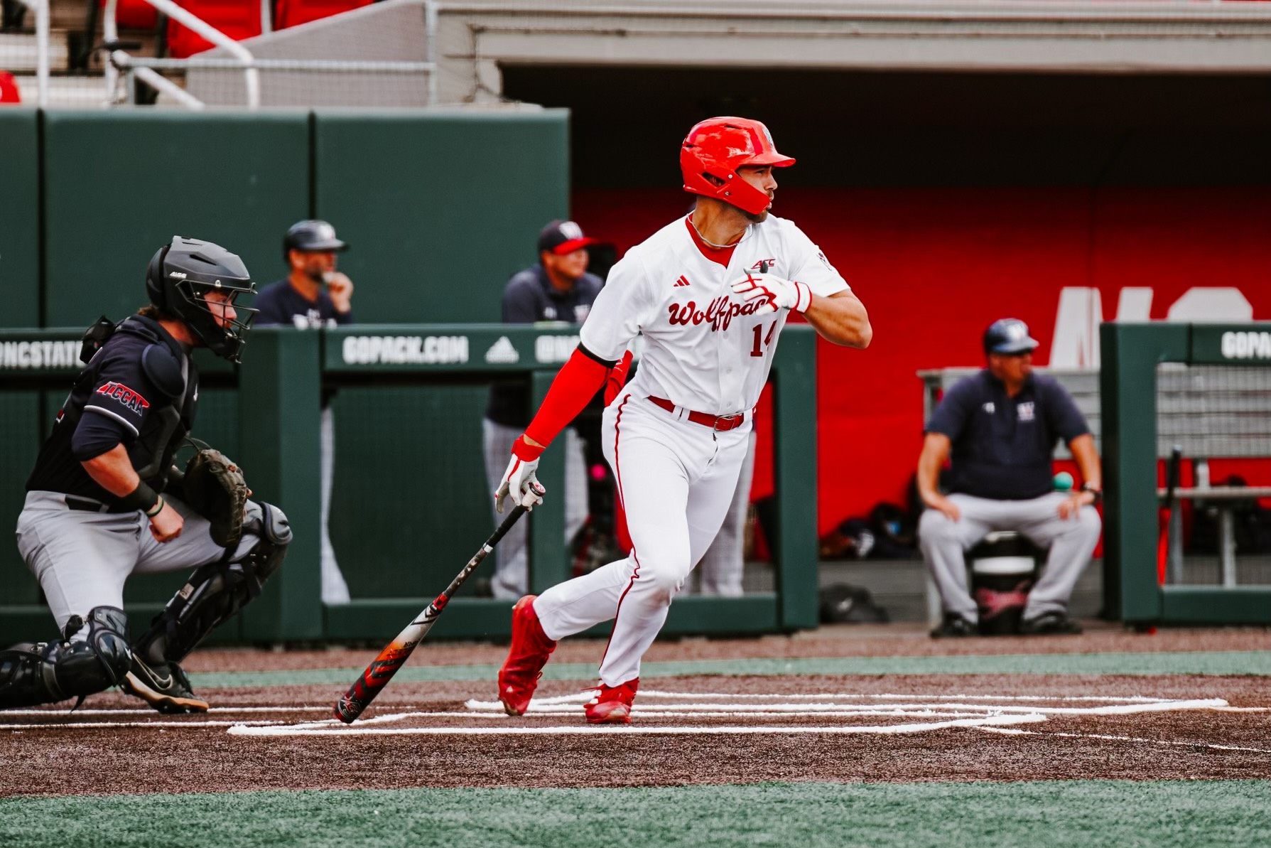 nc state baseball