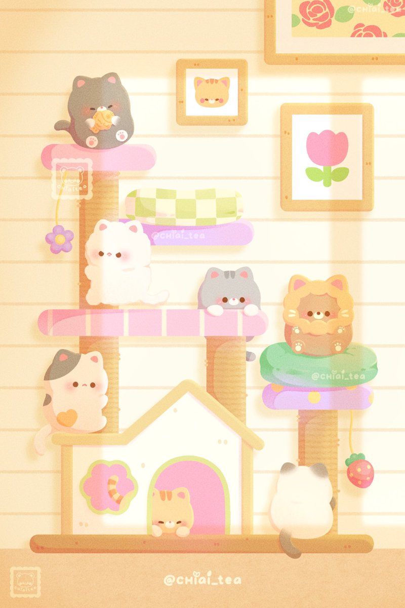 shirley 🌻 tweet media