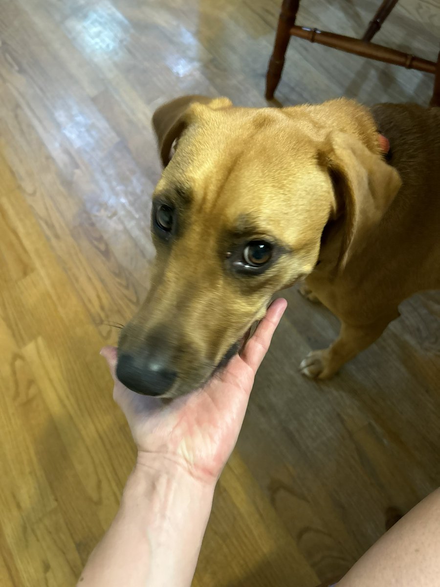 GagliardiJane's tweet image. #SuperFan