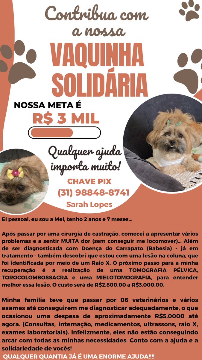 sh_lopess's tweet photo. Cachorrinha da minha avó, qualquer ajuda é bem vinda🥺 https://t.co/WrOok0GyGr