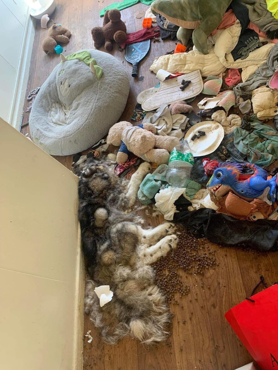 theofficialdcam's tweet photo. How you feel looking cute and walking out of a house like this🤮 https://t.co/DoAAzoIgBI
