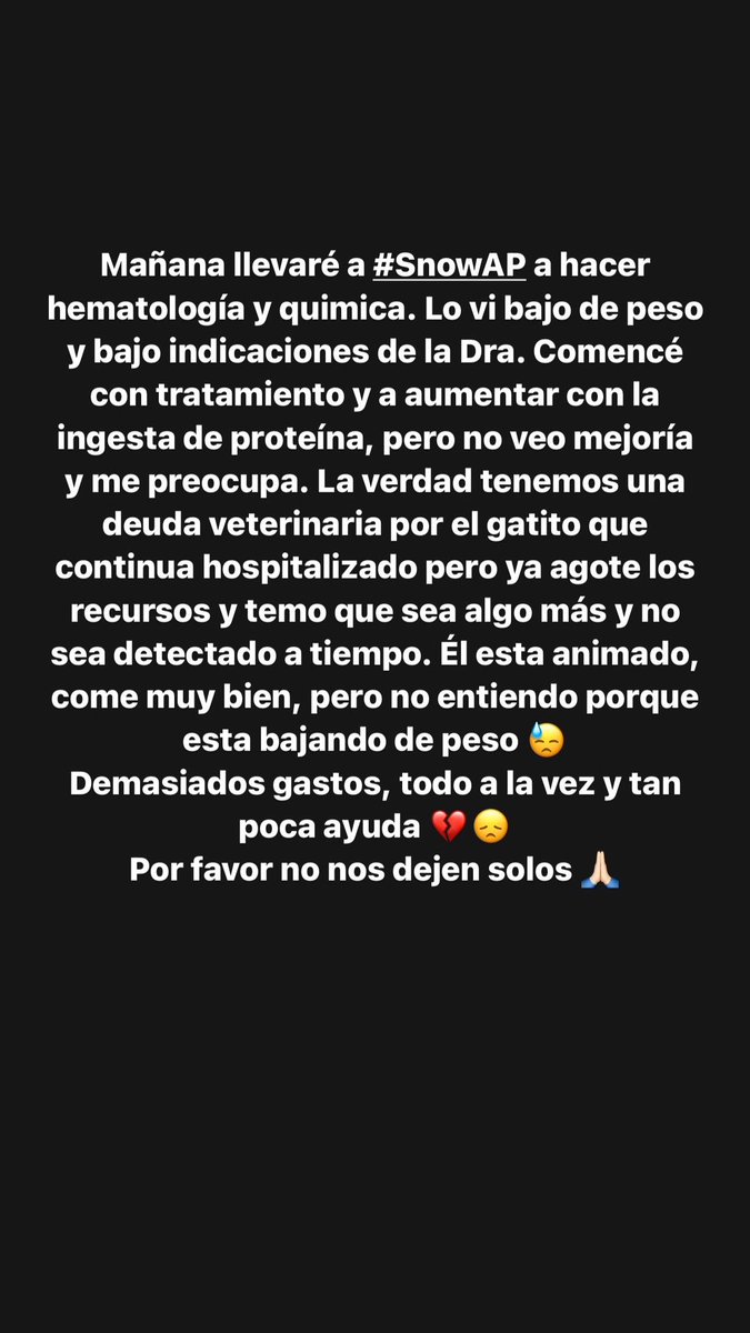 ayudemosapluto's tweet photo. Tomorrow I will take #SnowAP to do hematology and chemistry. I saw him underweight and under the doctor's instructions. I started treatment and increased protein intake, but I don't see any improvement and it worries me. The truth is that we have a veterinary debt for the kitten https://t.co/iT41ILLTIj