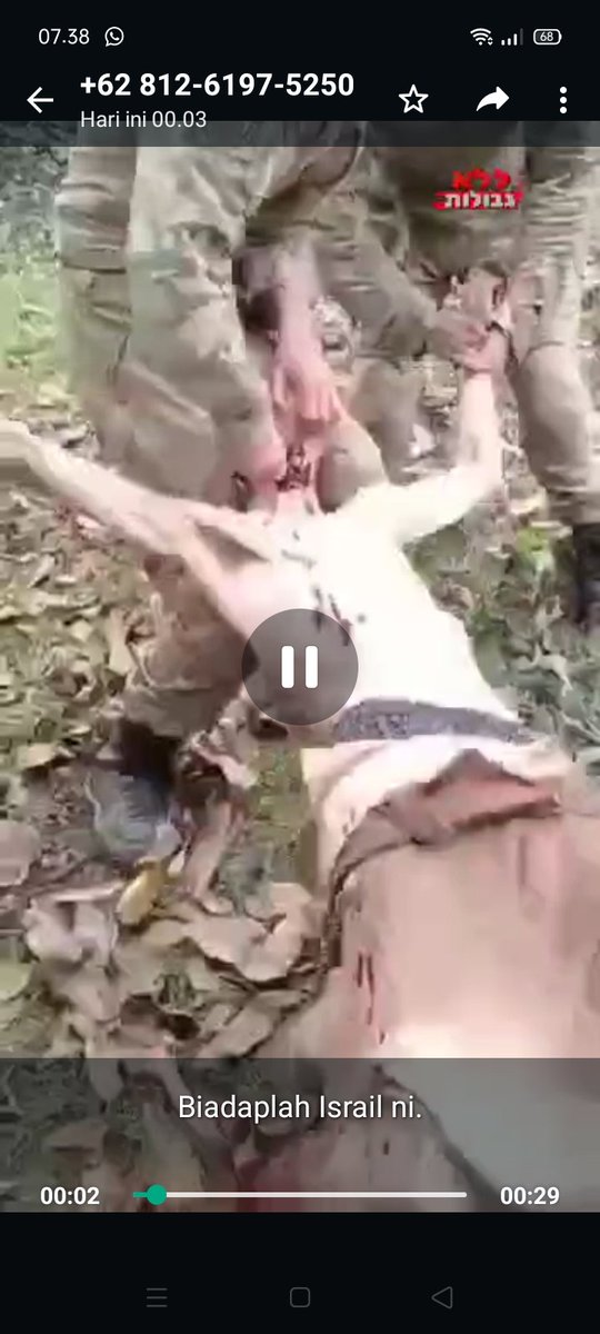 SYAFRINOF's tweet photo. @washingtonpost Subhanallah... apakah pantas manusia di perlakukan seperti ini? Sungguh Biadab!! https://t.co/zysgKXru4W