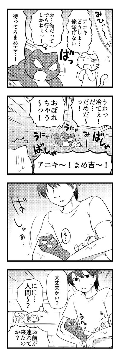(2/4)