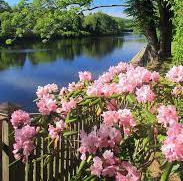 EEECCESS tweet media